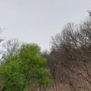 부귀농장 이미지