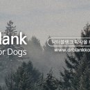 멍블리 펫 이미지