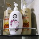 모텔피닉스 이미지