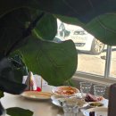 먹보네 - 안산시 상록구 댕이길 78-1 | 먹보네