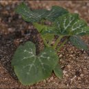 계원농장 이미지