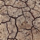 시그널동물병원 이미지