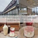 연암주유소 | 북구 카페 통유리 뷰맛집 투썸플레이스 북대구IC주유소DT점 2024 봄 시즌 신상 체리블라썸 요거트 생크림