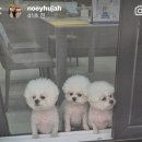 (주)하주 이미지