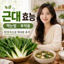 소보건강기능 | 근대 효능과 먹는법, 된장국으로 먹어본 후기와 부작용