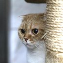 연산메디컬센터 앞 이미지