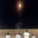 용인대스포츠클럽(용인대유도관) 이미지