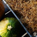 장익는 마을 이미지