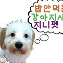 돈워리동물병원 이미지