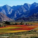 전원농장 이미지