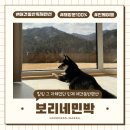 보리네민박(Borizzam_house) | 꿈만 같았던 강원도 인제 애견동반 독채숙소 보리네민박