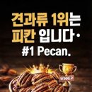 견과류 1위 피칸(Pecan)인 이유는 이것입니다. 이미지