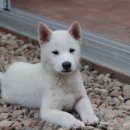 금동펜션 이미지