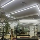 분당-262 이미지