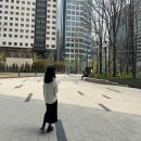 롱보드 입문자 수업부터 구입까지 : 롱보드 원데이 클래스 + 당근으로 롱보드 중고거래