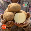 바른농산 - 남해군 봉화로531번길 35-21 | 바른농산