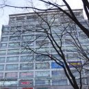 7115 | 목동 레스토랑 목동 스테이크 뷰 좋은 마고