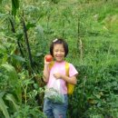 예진농장 이미지