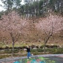 보성군청 2층화장실(동) | [보성숙소추천] 전남권환경성질환예방관리센터(보성치유센터) 숙박 및 족욕, 찜찔방 이용후기