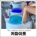 관광지 | 제주시 가볼만한곳 공항근처 실내관광지 카파이풋 후기