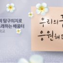 충주중앙중 이미지