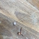 수진유통 이미지