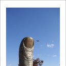 엄지공원 Daum카페