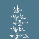 웰스케어 네이버블로그