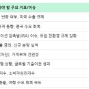 비즈이노