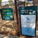 부천시립합창단 야외연주회 이미지