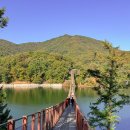 출렁다리 카페 이미지