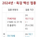 2024. 독감 백신 접종 이미지