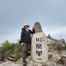 주왕산산사랑영농조합법인 | 5월 21일 등산일지 : 강원도 원주 치악산