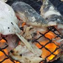 용호동 섶자리 이미지