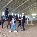 말보르승마장 이미지