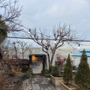 엑스포로539번길 | [대전/전민동] 문지동 고깃집 전미원 와인숙성 삼겹살 맛집 데이트, 지인모임, 가족외식 추천 (+메뉴...