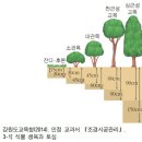 학습 3 식재 기반 조성하기 (LM1405010202_14v2.4) 이미지