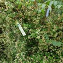 선구보건진료소 이미지