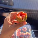 진남상가로충무1길 | 여수 여행 맛집 모음zip(내돈내산)