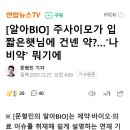[알아BIO] 주사이모가 입짧은햇님에 건넨 약?…'나비약' 뭐기에 이미지