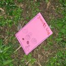 다해영재어린이집 | W42_이번 주도 이븐하게 바빴네 (feat. 잠실 쭈꾸미도사, 가로수길 아로보서울, 흑백요리사 맛집 모던...