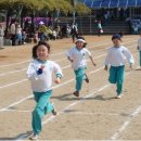 서산초교 이미지