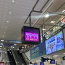 쌍둥이네수산