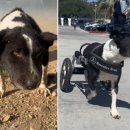 견생공감 이미지