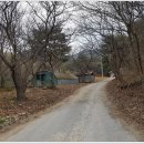 수피랑벼리랑 이미지