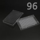 아리랑과학 이미지