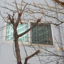 묵동-080 이미지