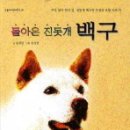 그림백구