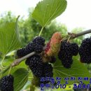 (주)오디 이미지