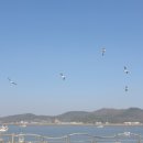 초지호 이미지